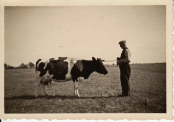 Weperpolder Rendijk