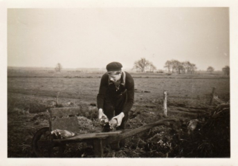 Weperpolder Rendijk