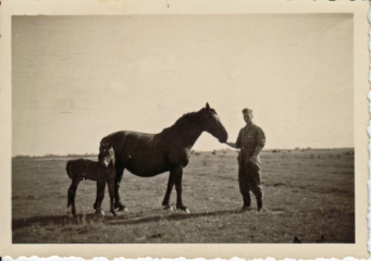 Weperpolder Rendijk