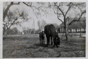 Dorpsgezicht Dorpsstraat 80 en 78