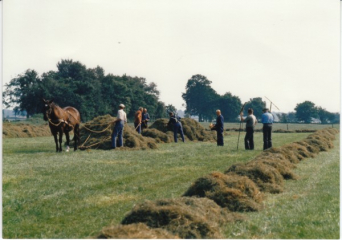 Zwetteweg10