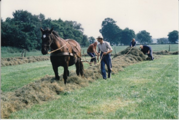 Zwetteweg10  Tiemjen